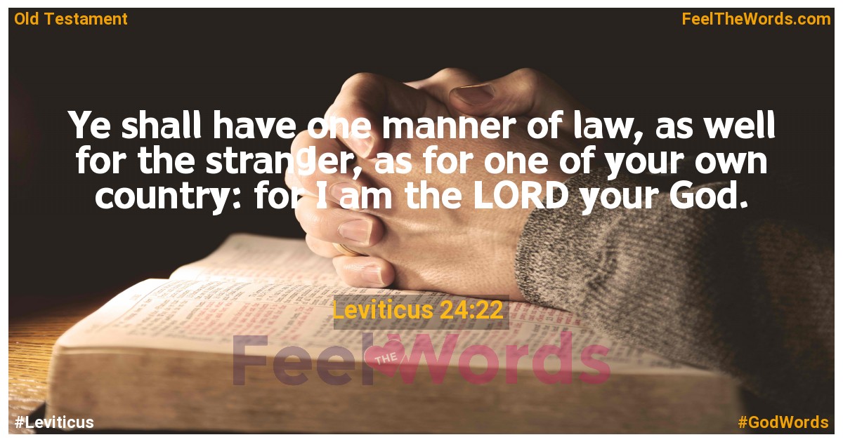 Leviticus 24:22