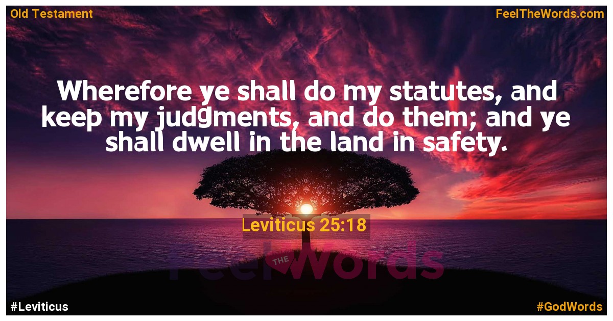 Leviticus 25:18