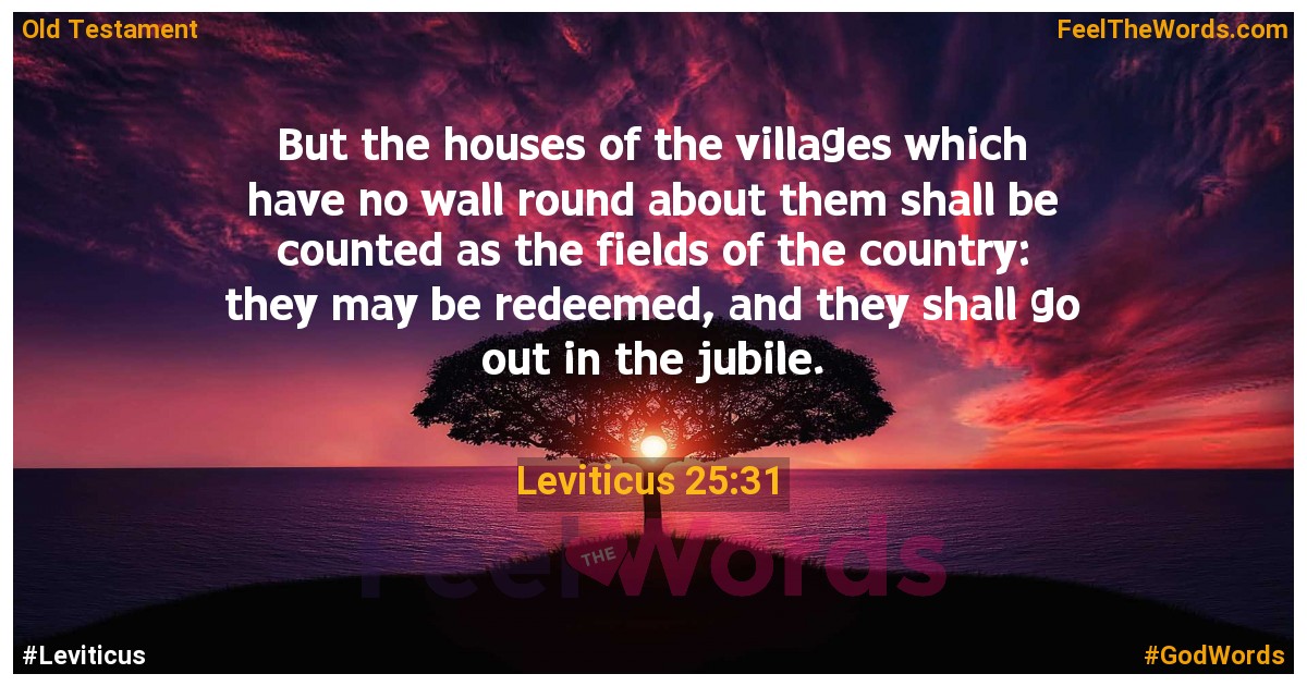 Leviticus 25:31