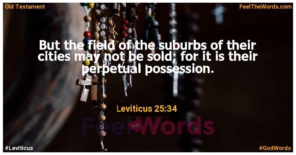 Leviticus 25:34
