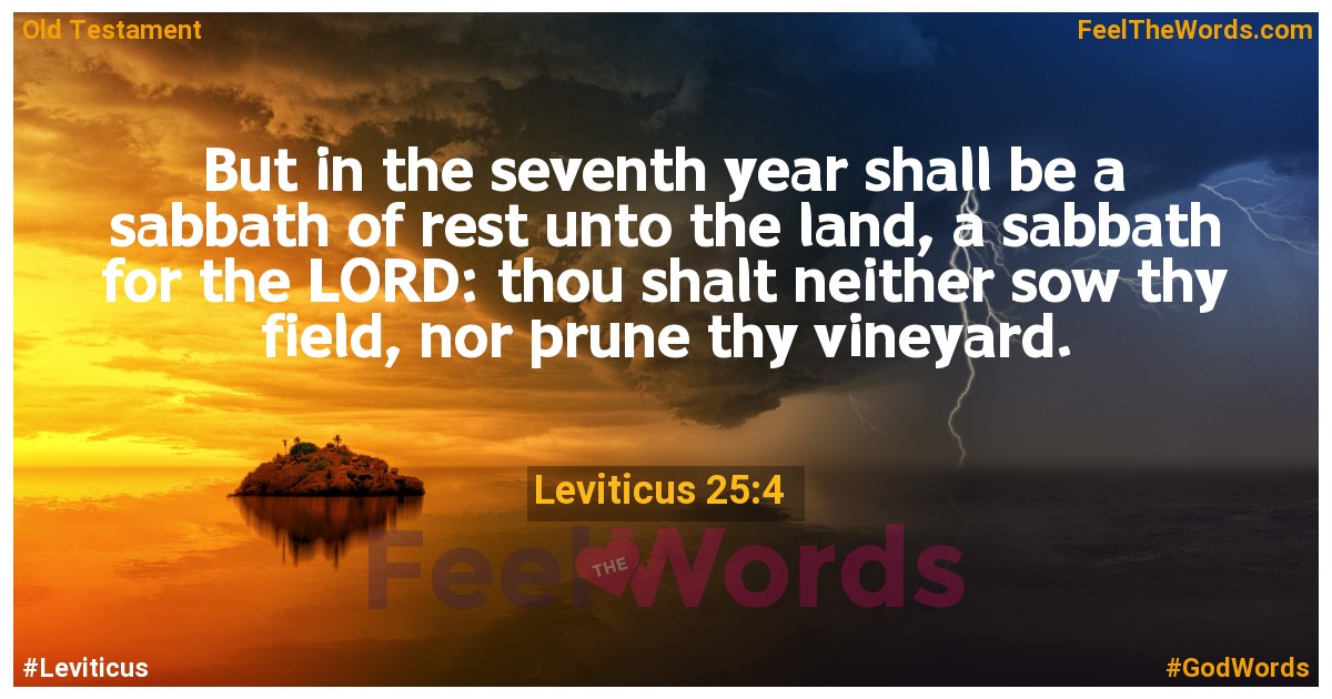 Leviticus 25:4