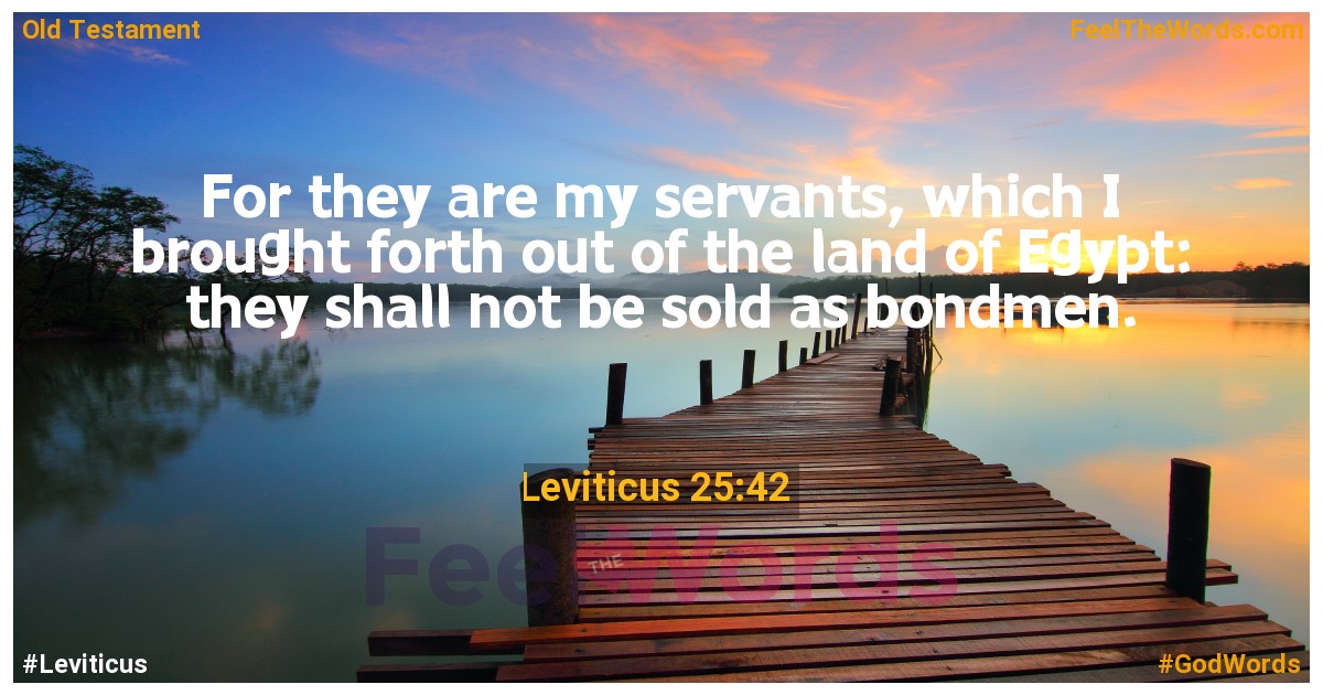 Leviticus 25:42