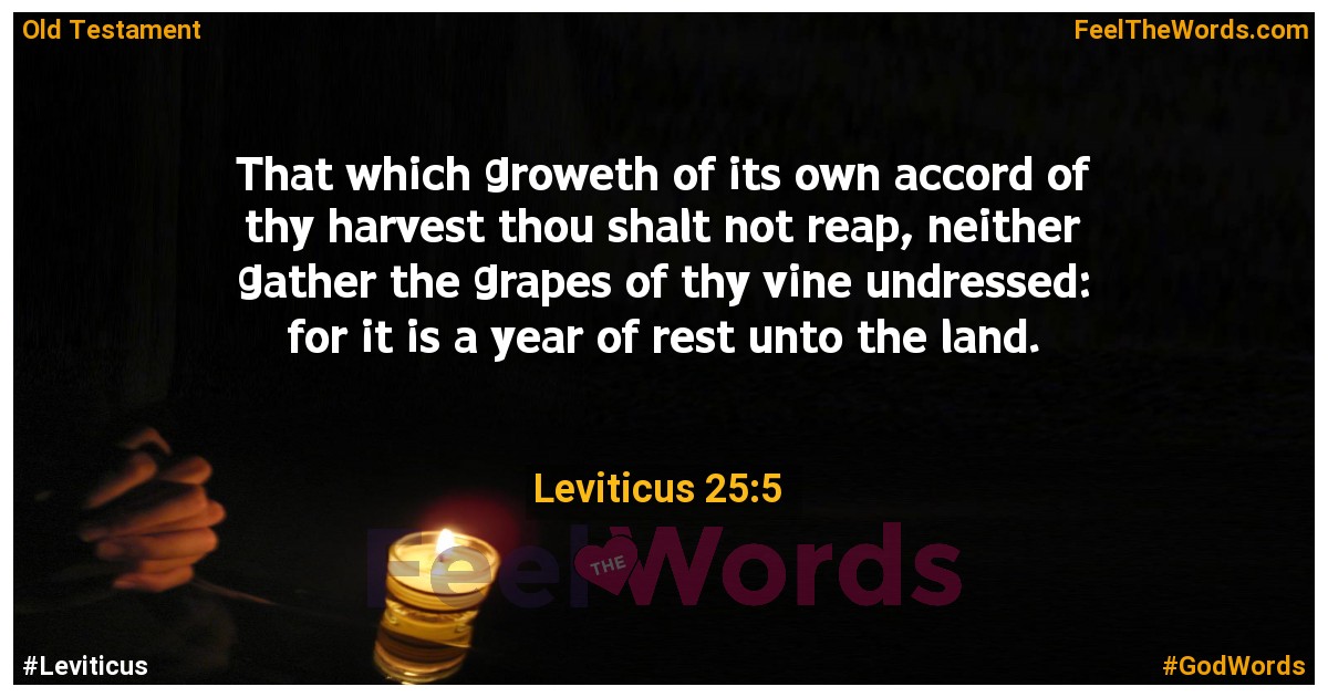 Leviticus 25:5