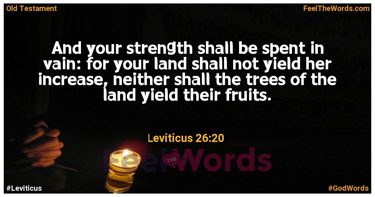Leviticus 26:20