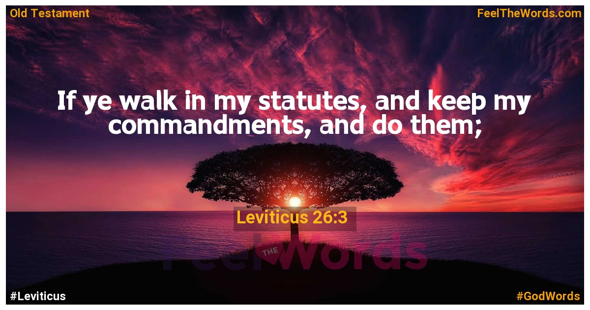 Leviticus 26:3