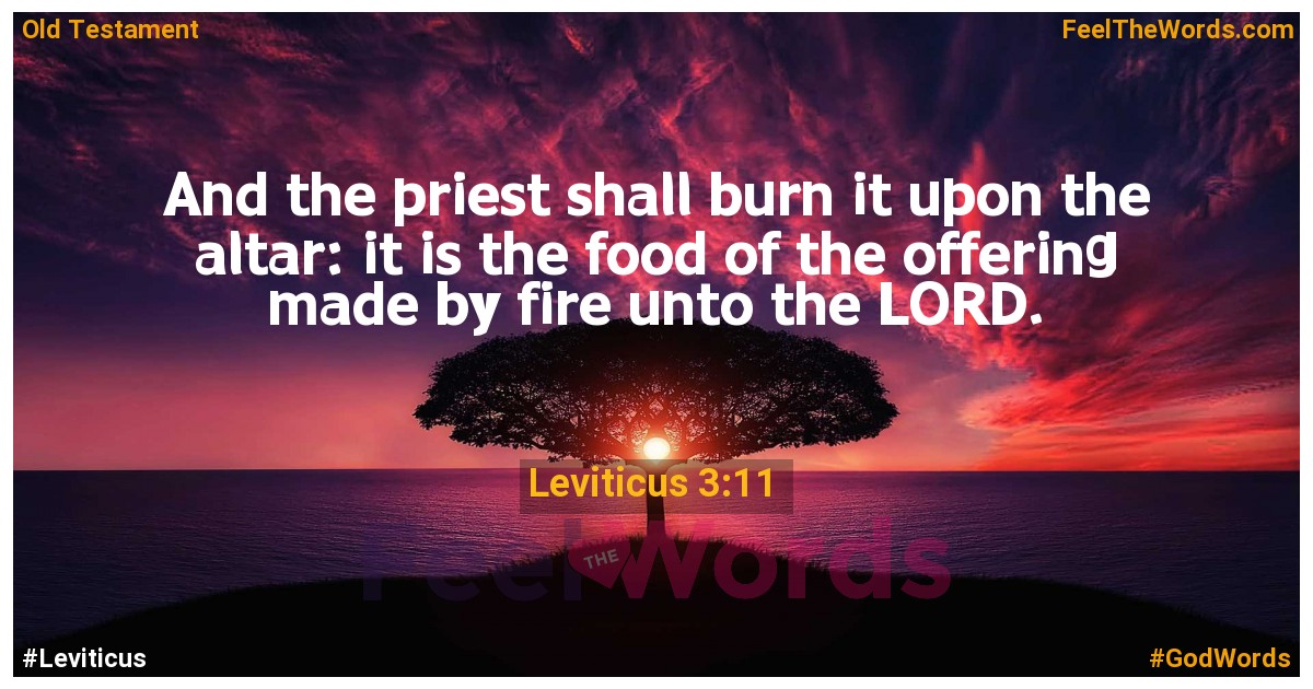 Leviticus 3:11