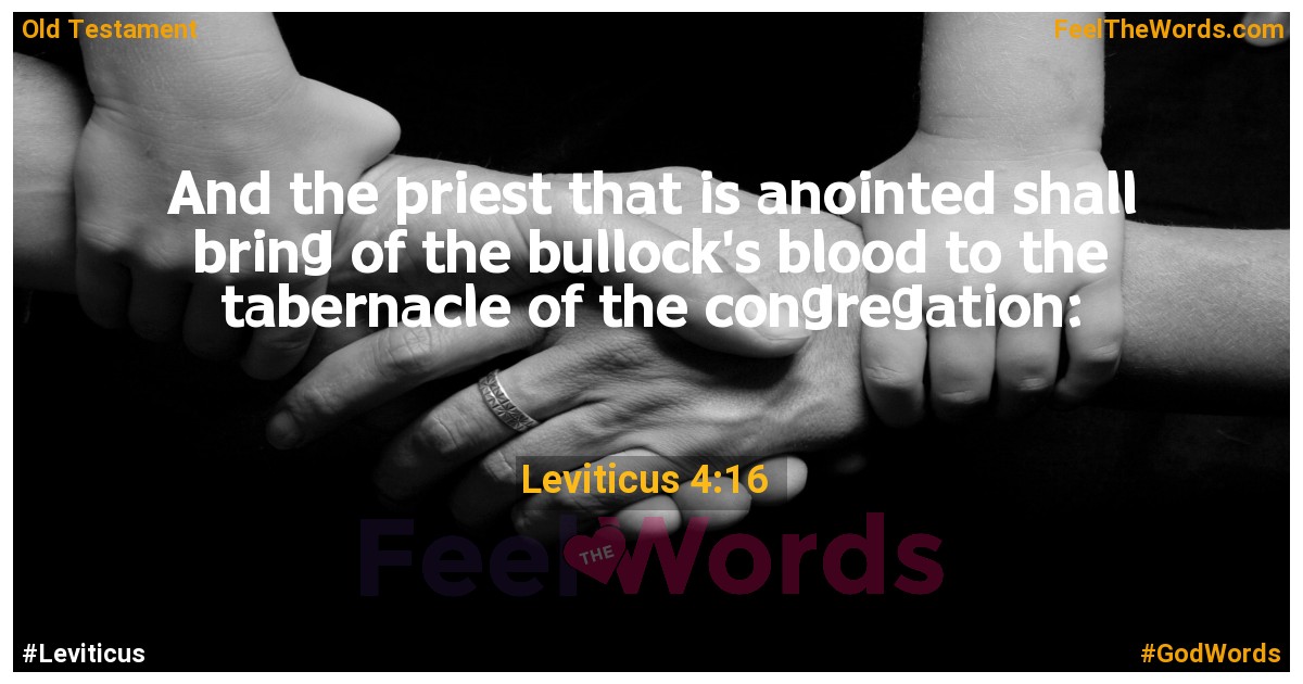 Leviticus 4:16