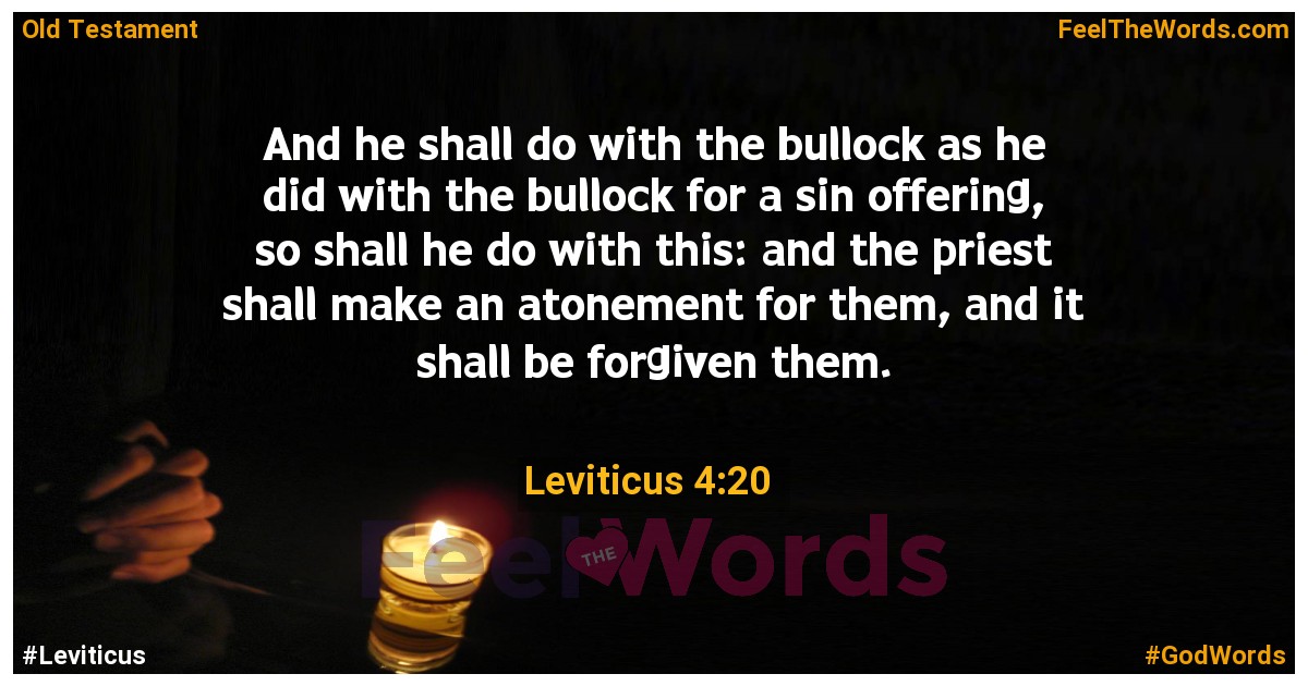 Leviticus 4:20