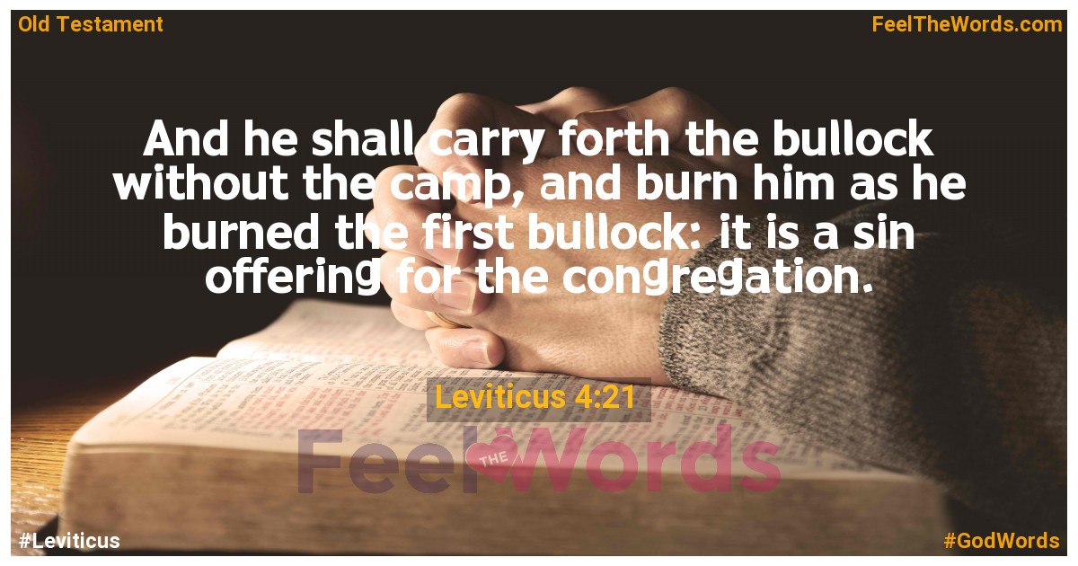 Leviticus 4:21