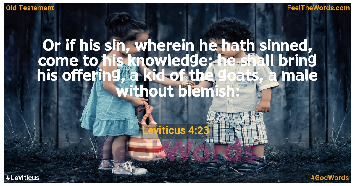 Leviticus 4:23