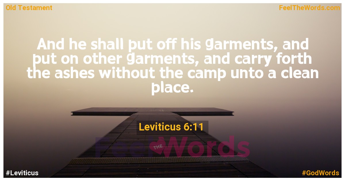 Leviticus 6:11