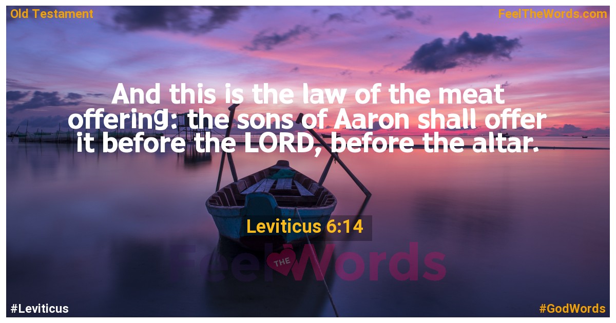 Leviticus 6:14
