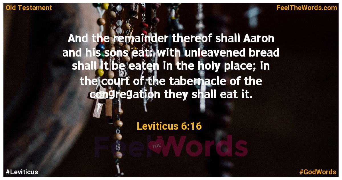 Leviticus 6:16