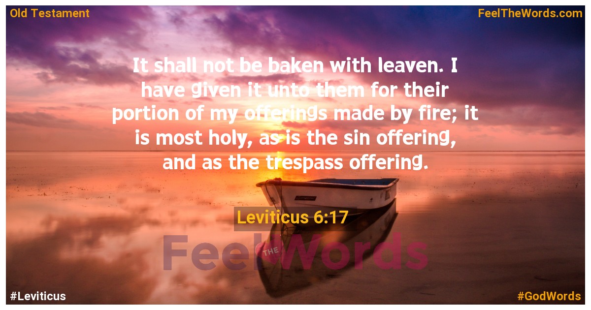 Leviticus 6:17
