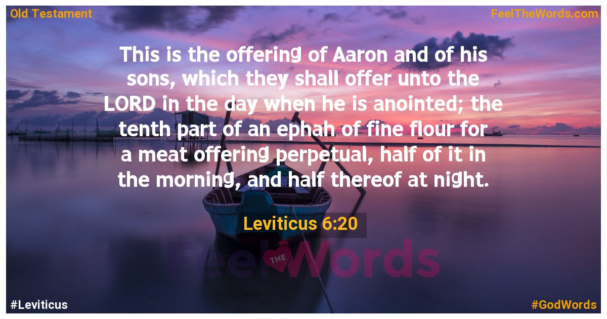Leviticus 6:20
