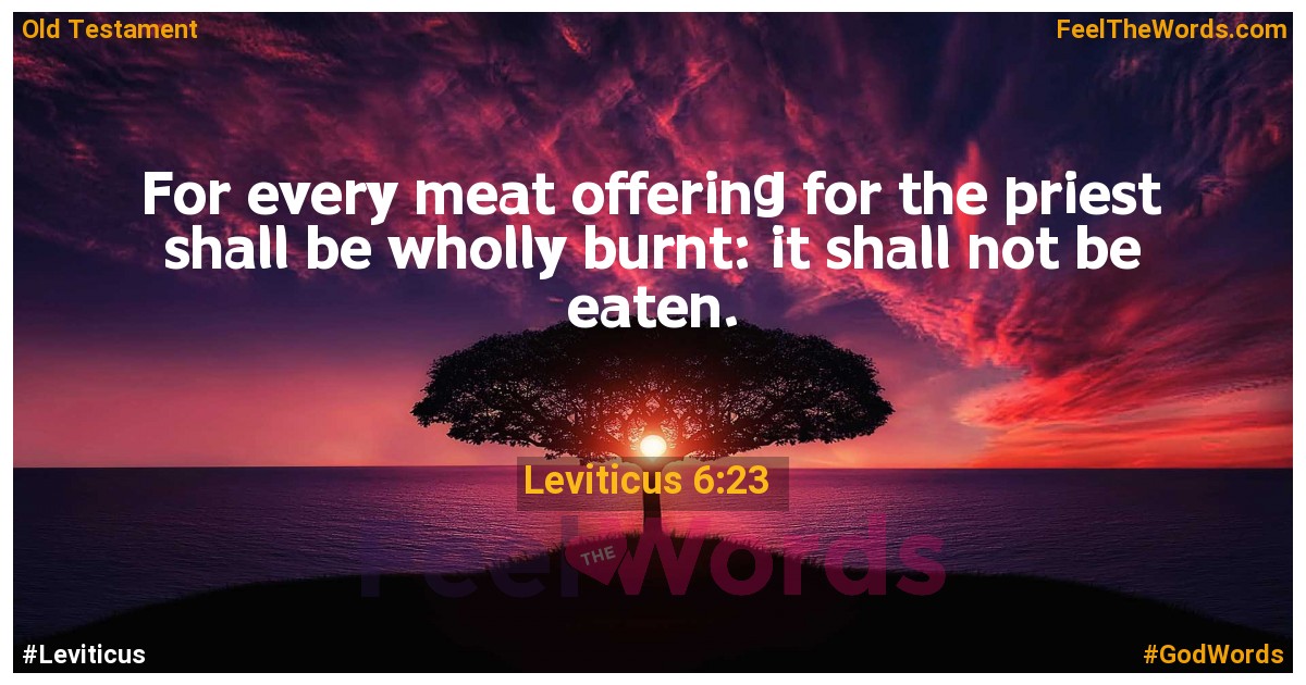 Leviticus 6:23