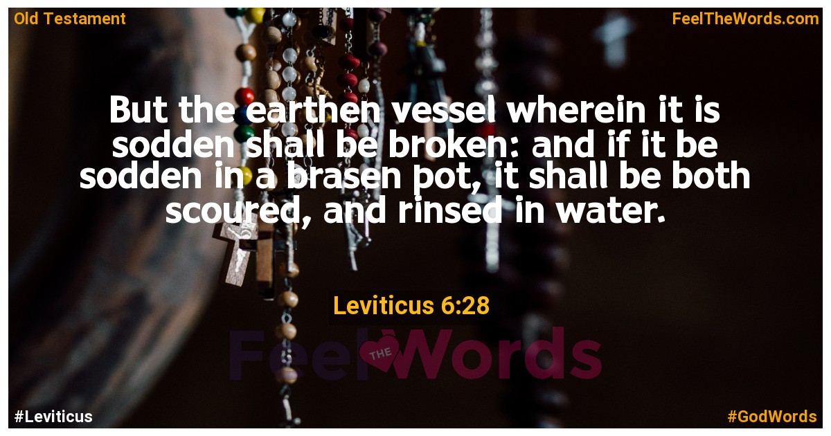 Leviticus 6:28