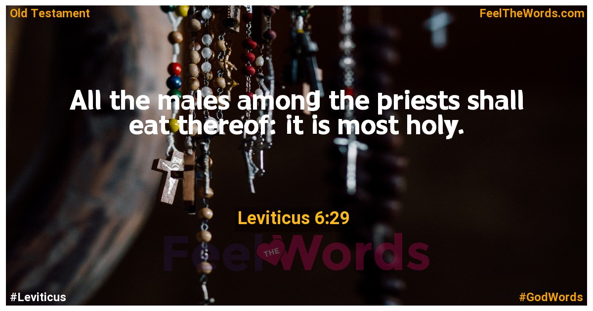 Leviticus 6:29