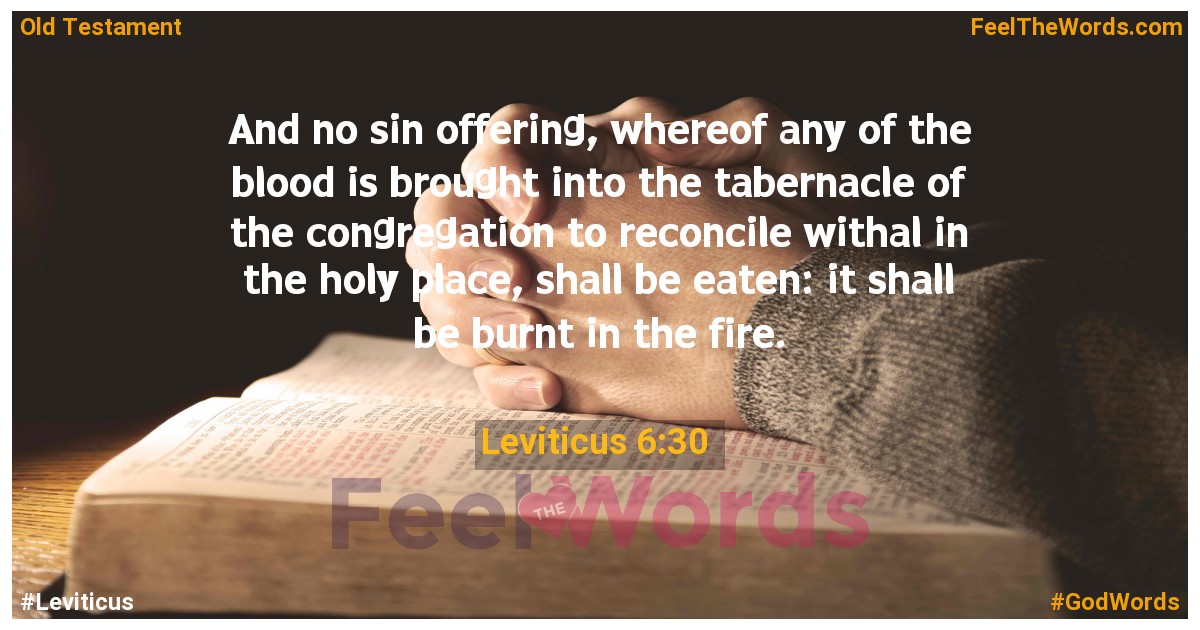 Leviticus 6:30
