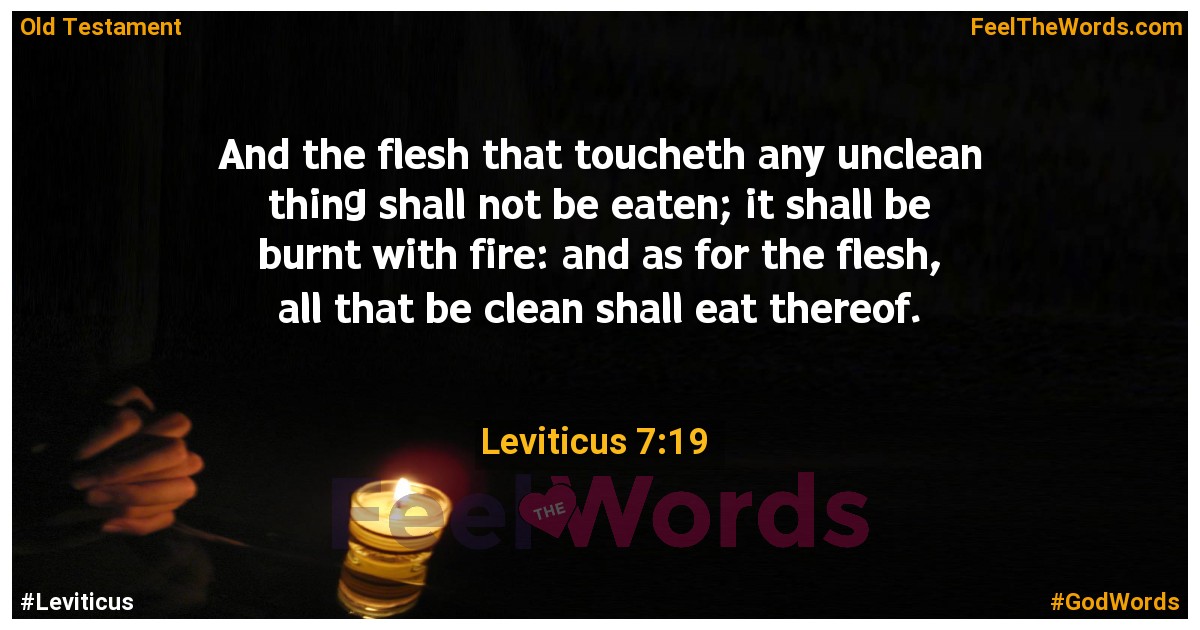 Leviticus 7:19