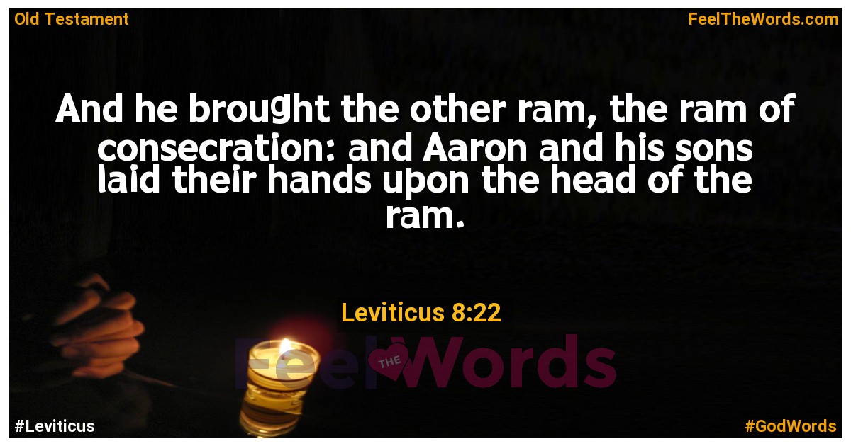 Leviticus 8 22 Feel The Words