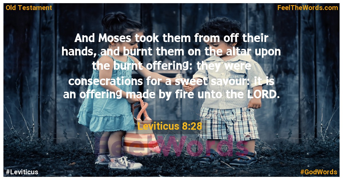 Leviticus 8:28
