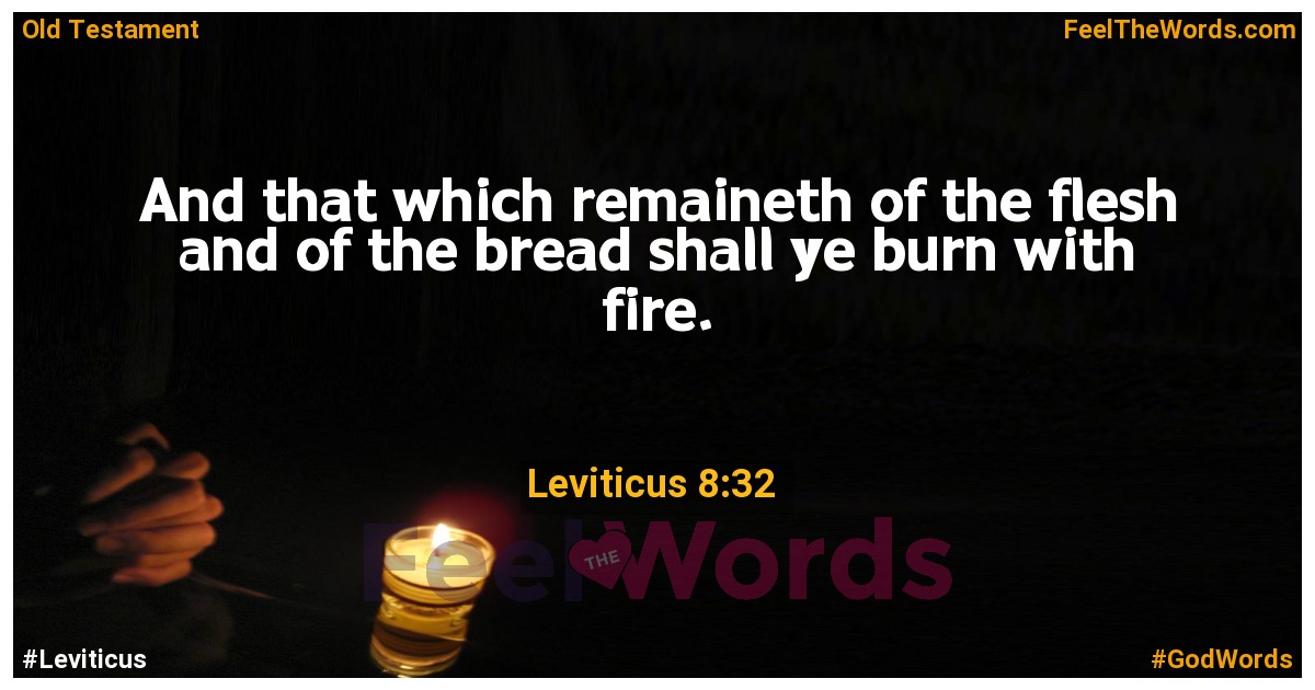 Leviticus 8:32