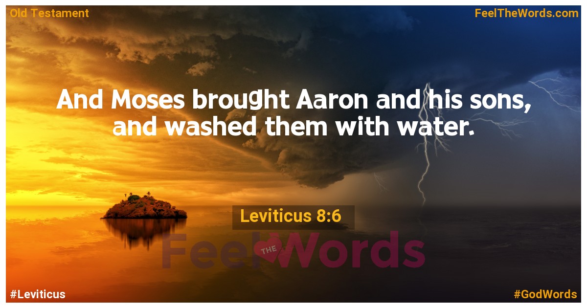 Leviticus 8:6