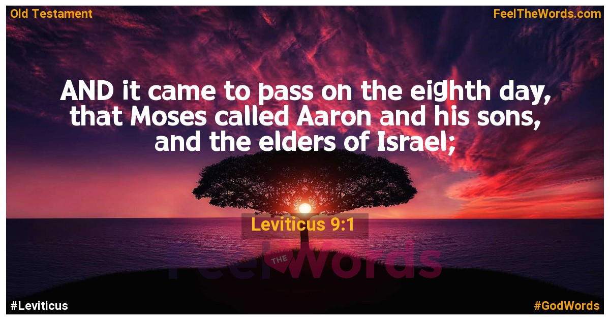 Leviticus 9:1