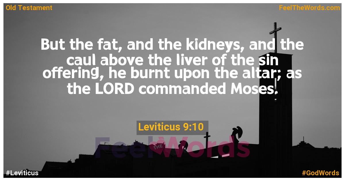 Leviticus 9:10