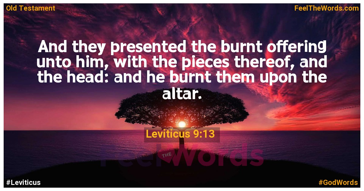Leviticus 9:13