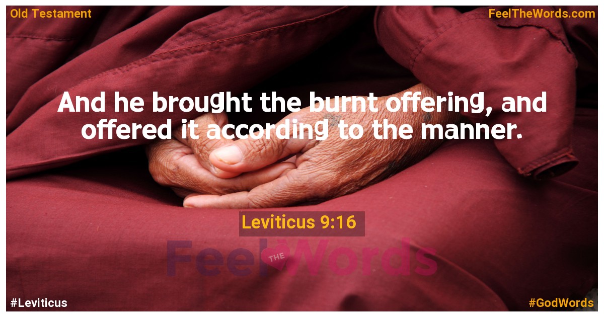 Leviticus 9:16