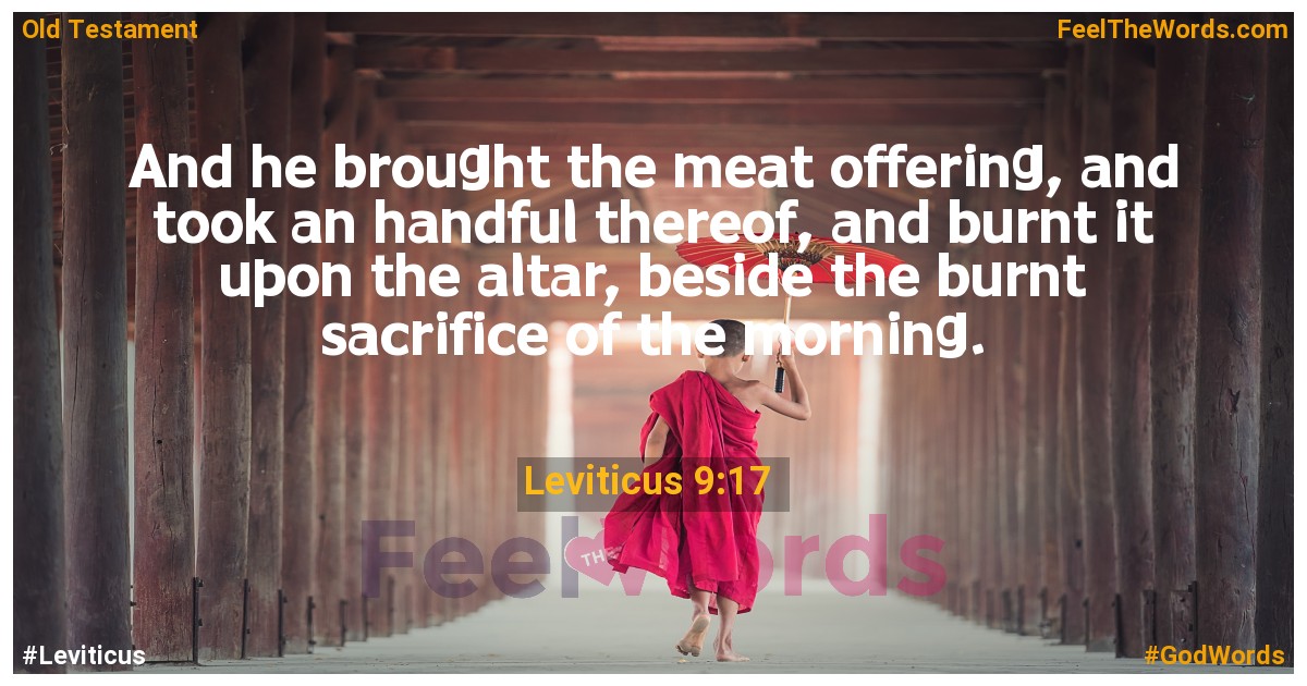 Leviticus 9:17