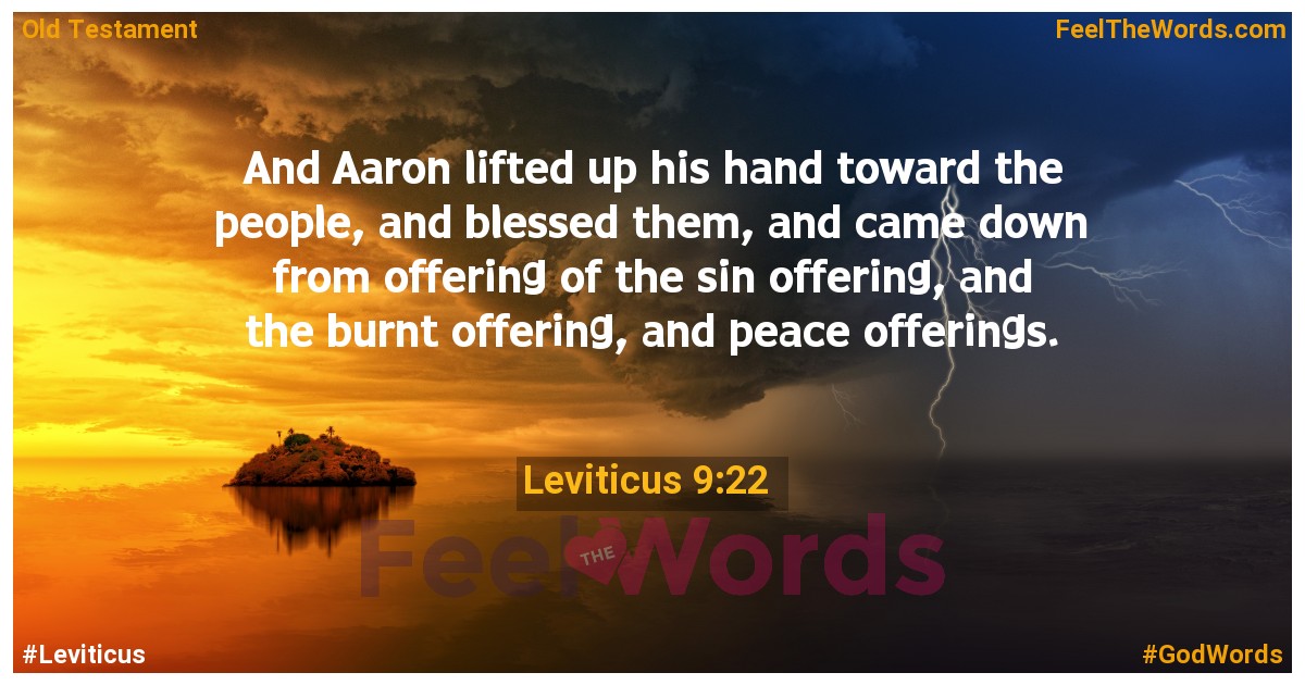 Leviticus 9:22