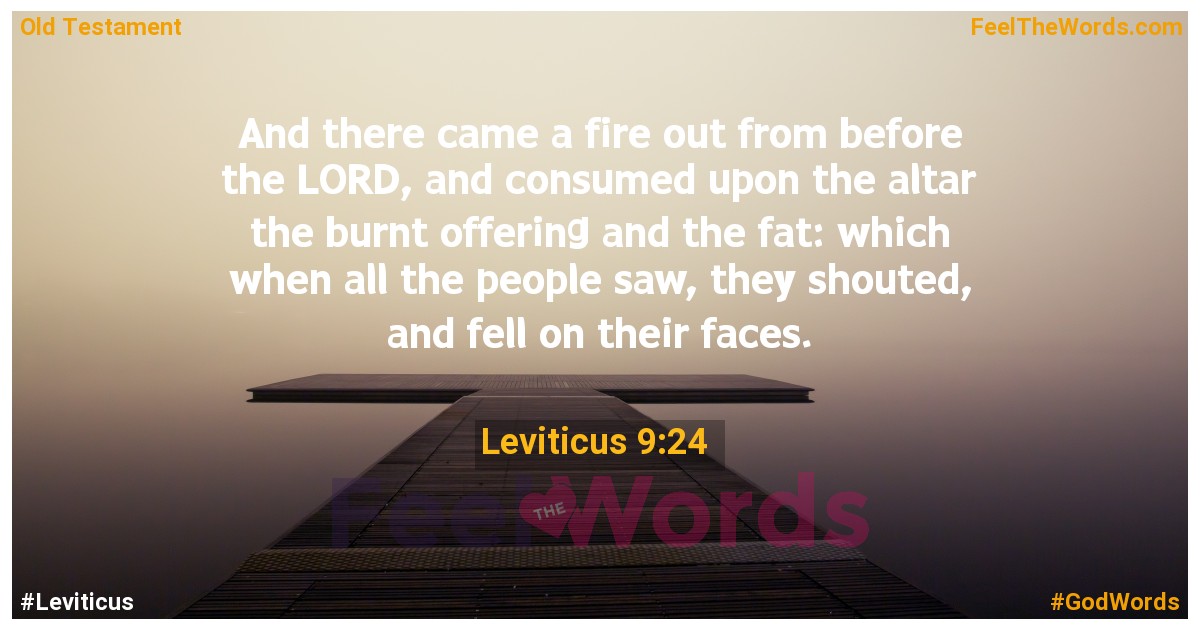 Leviticus 9:24