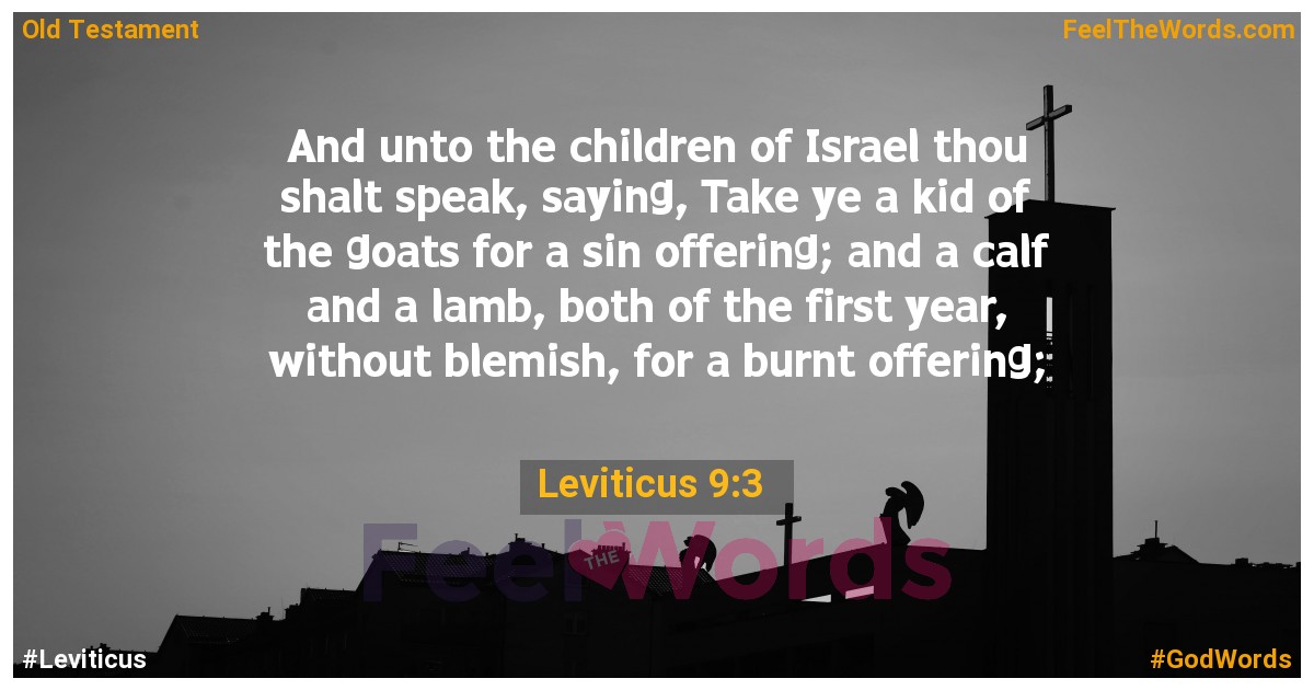 Leviticus 9:3