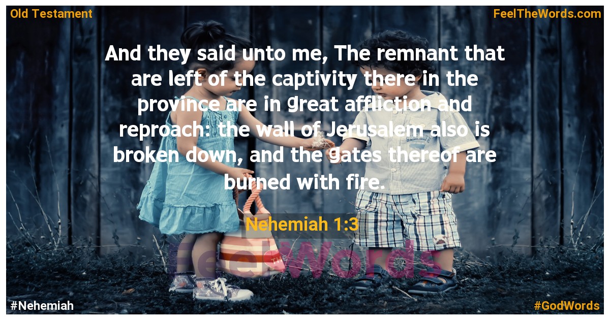 Nehemiah 1:3
