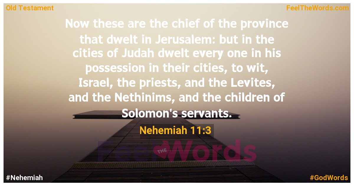 Nehemiah 11:3