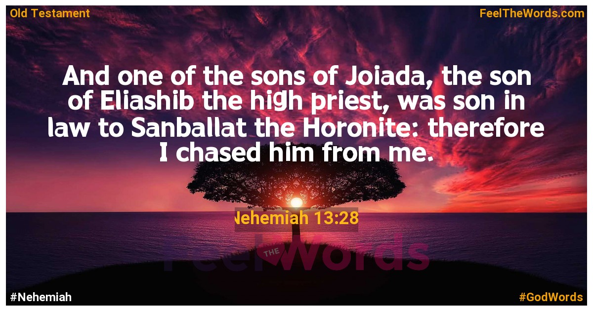 Nehemiah 13:28