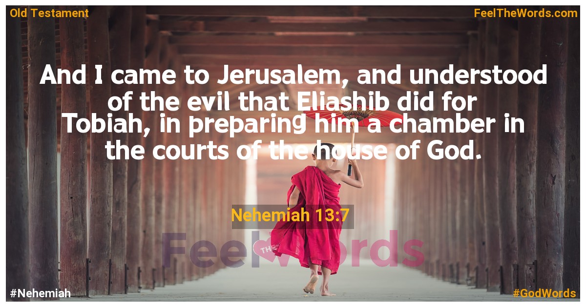 Nehemiah 13:7