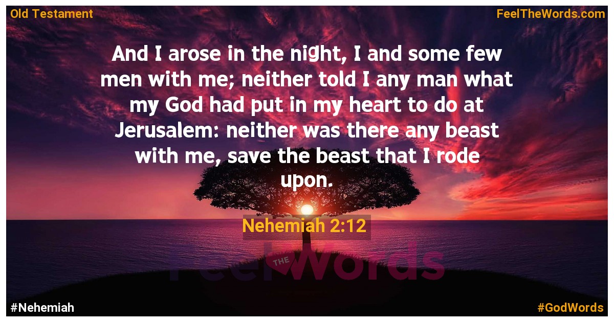 Nehemiah 2:12