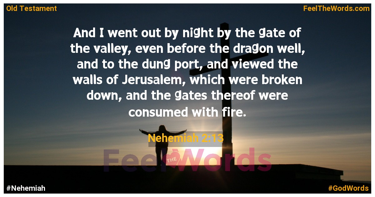 Nehemiah 2:13