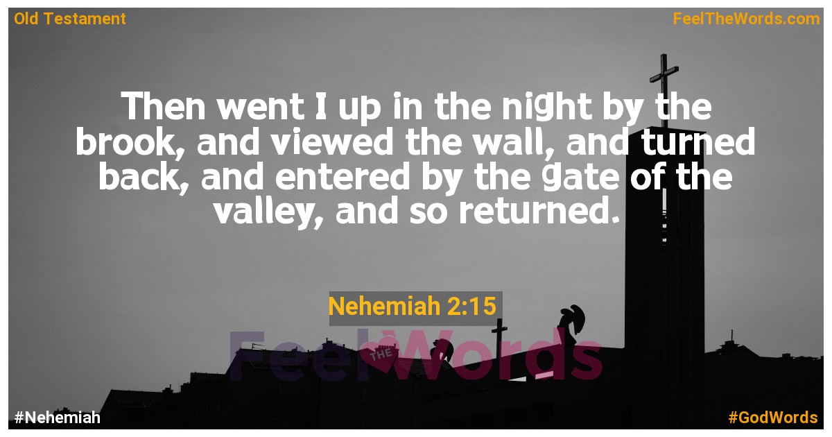 Nehemiah 2:15