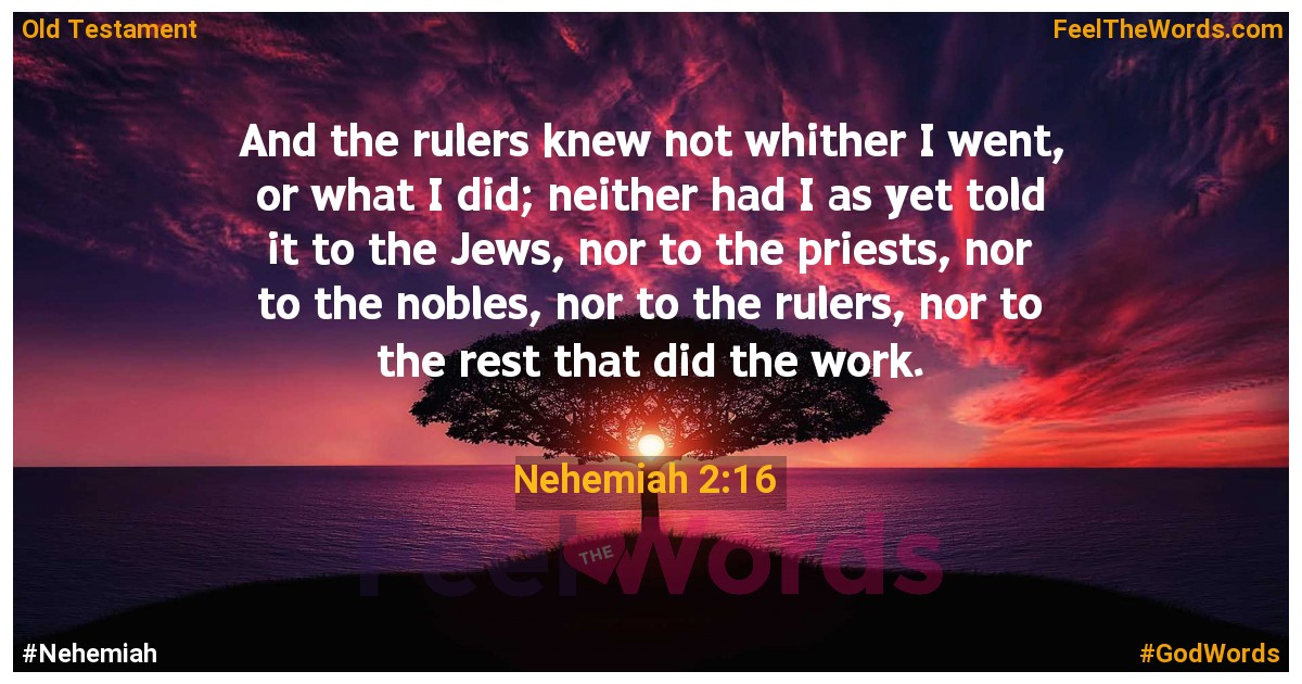 Nehemiah 2:16
