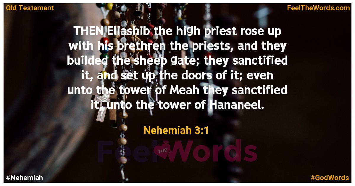 Nehemiah 3:1