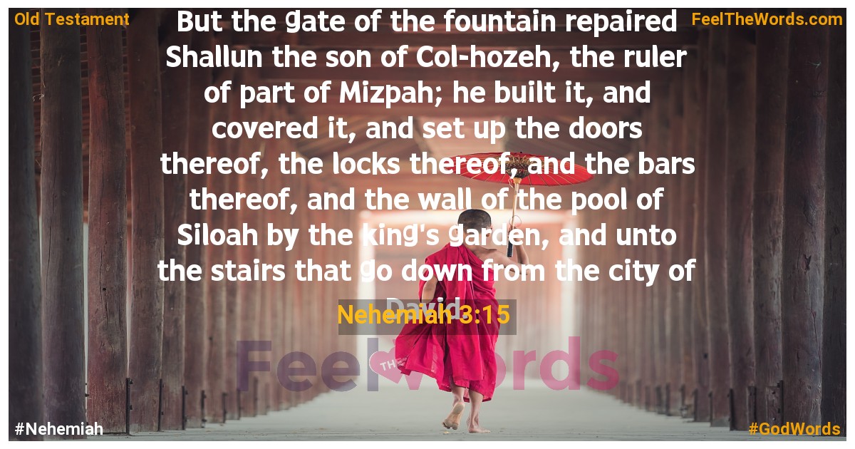 Nehemiah 3:15