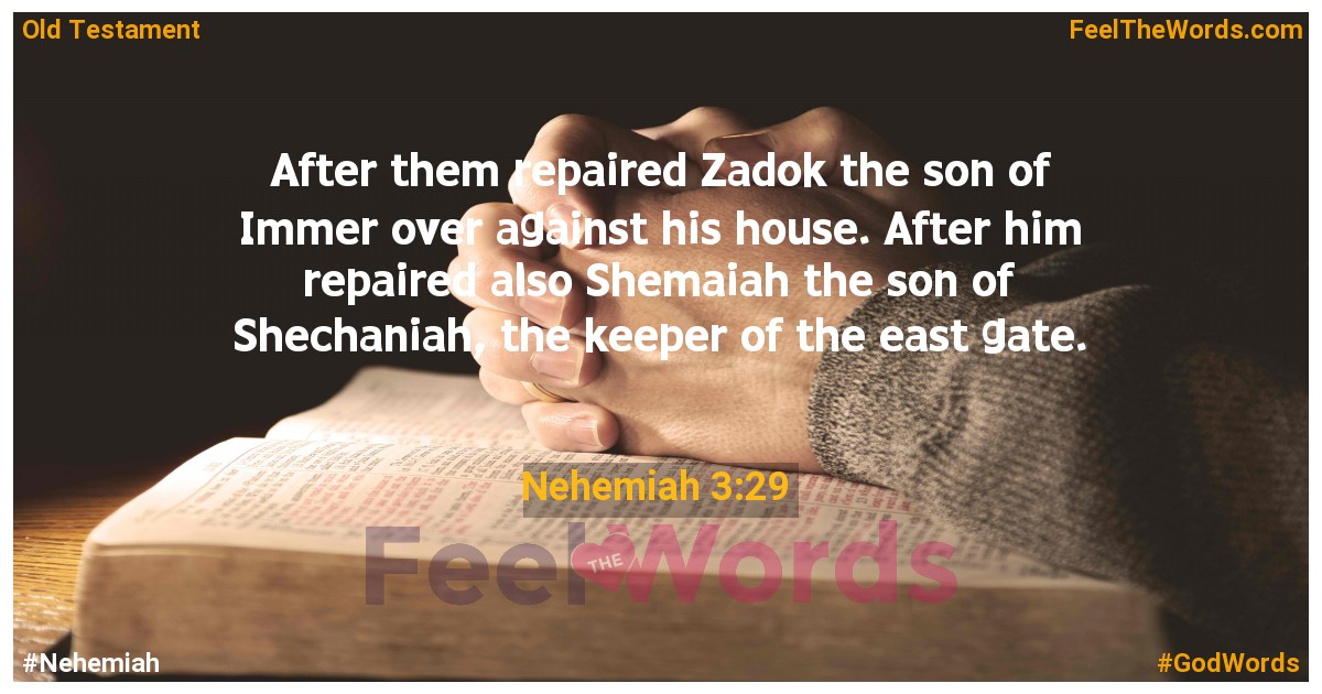 Nehemiah 3:29