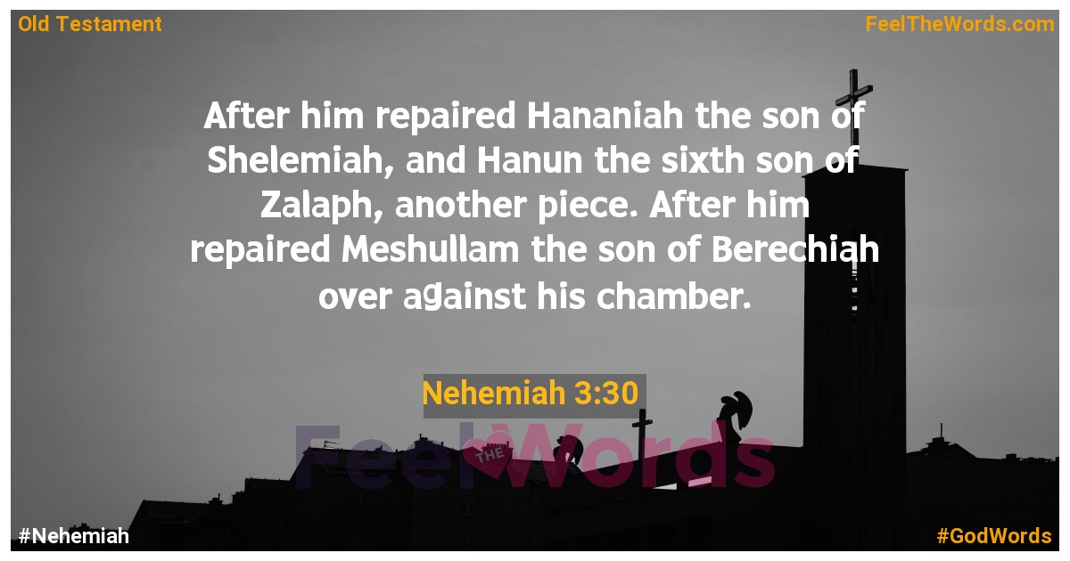 Nehemiah 3:30
