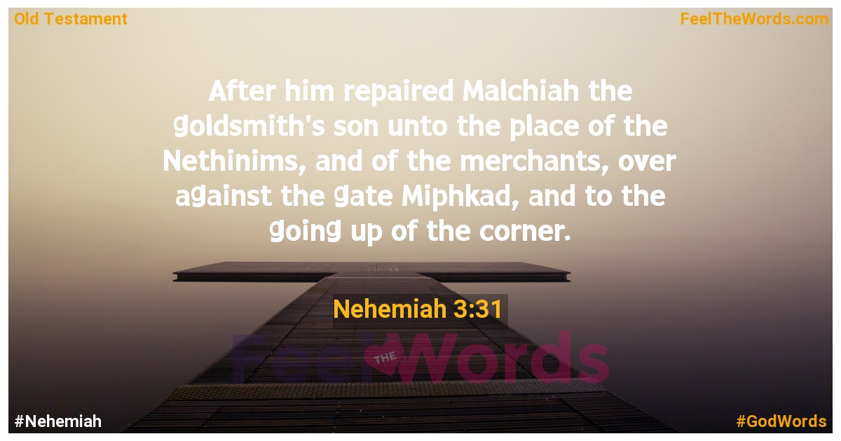 Nehemiah 3:31