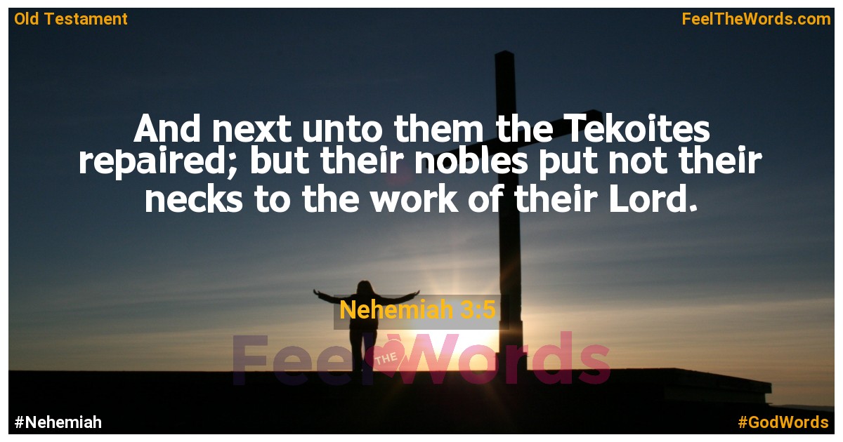 Nehemiah 3:5